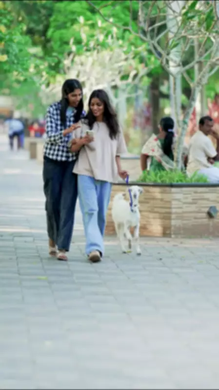 Screen On, Life Off: Who Really Holds the Leash - You or Your Phone?