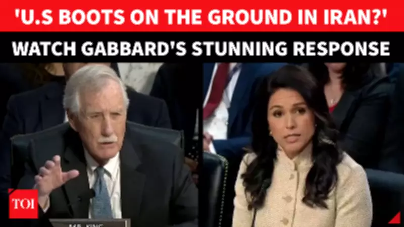 Senator King Confronts Gabbard, Ratcliffe Over Iran Intel Sharing With Trump