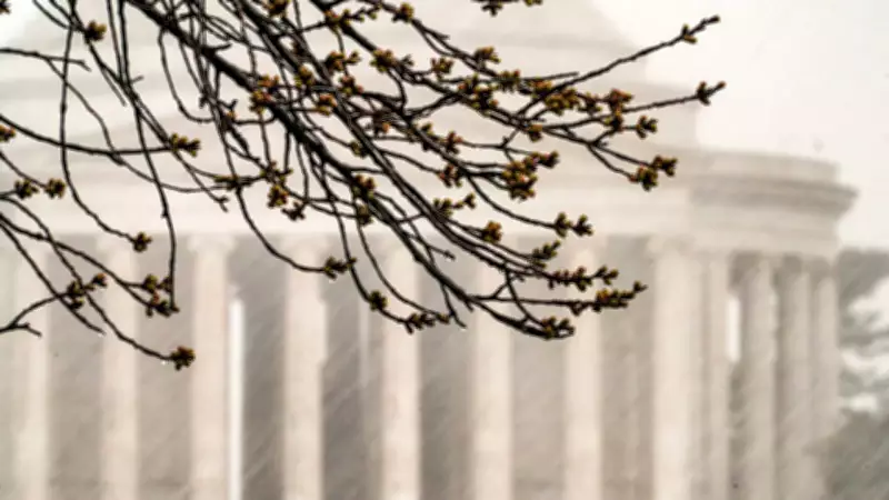 Severe Storm Forces Washington D.C. Area Schools to Alter Schedules for Safety