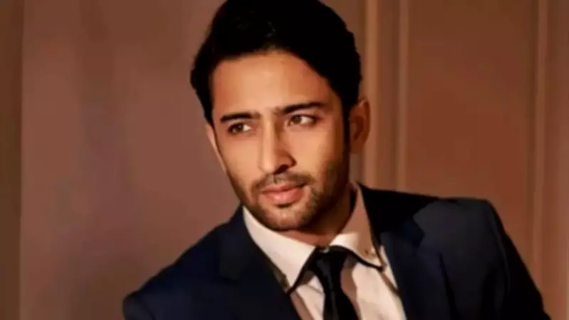 Shaheer Sheikh Reflects on Life's Fleeting Moments, Shares New Series Update