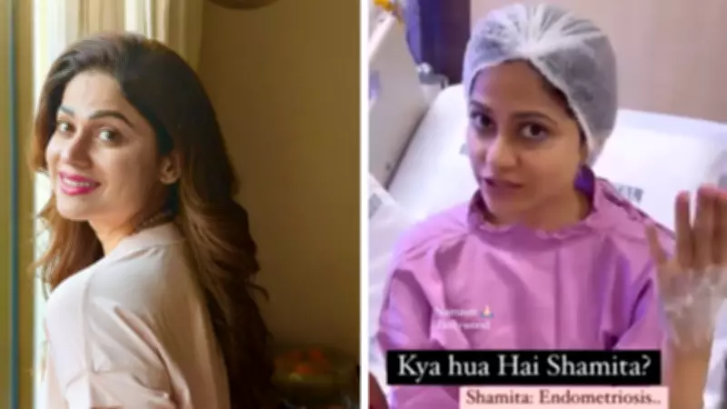 Shamita Shetty's Endometriosis Surgery: When Is It Necessary? Experts Explain