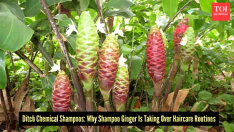 Shampoo Ginger: The Ancient Hawaiian Secret for Natural Hair Care