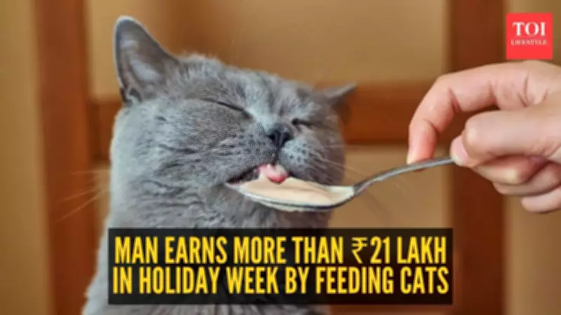 Shanghai Pet Sitter Earns ₹21 Lakh During Chinese New Year Cat-Care Boom