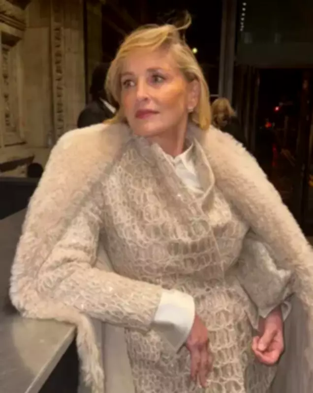 Sharon Stone Celebrates 68th Birthday with Nostalgic 90s Throwback Video