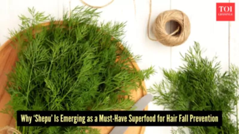 Shepu (Dill Leaves): The Forgotten Indian Superfood for Hair Growth