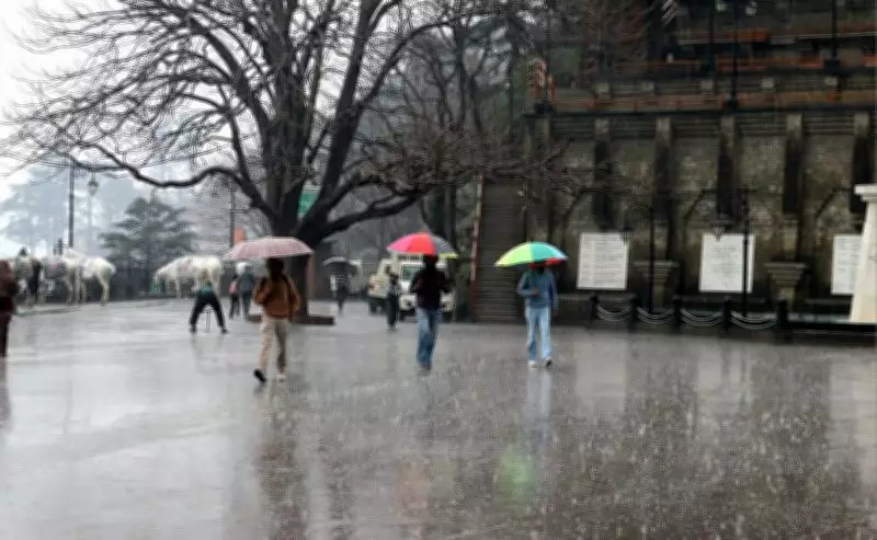 Shimla Hit by Rain and Hail, Manali's High Altitudes See Fresh Snowfall