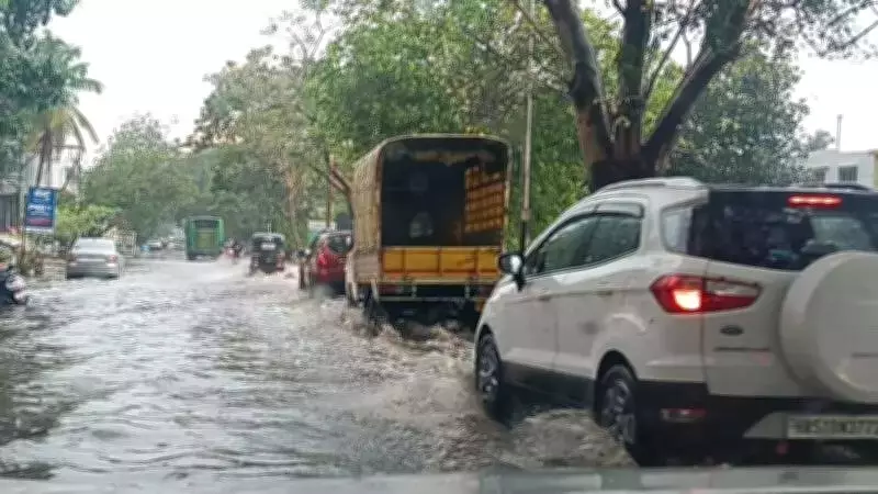 Shivamogga Hit by Severe Hailstorm, Farmers Fear Crop Damage