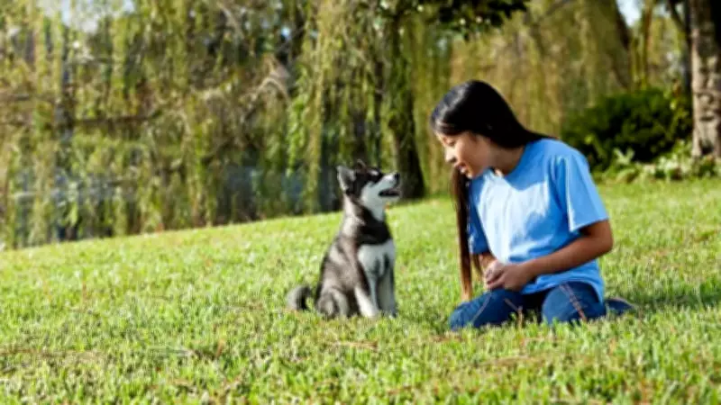 Siberian Husky: 7 Compelling Reasons Why This Breed Is Ideal for Children