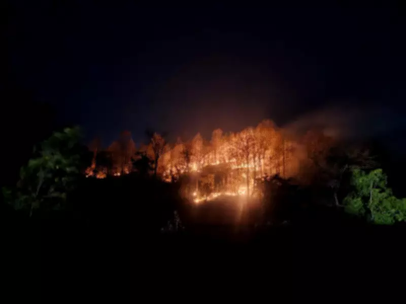 Similipal Tiger Reserve Cuts Forest Fires Drastically with AI and Drones