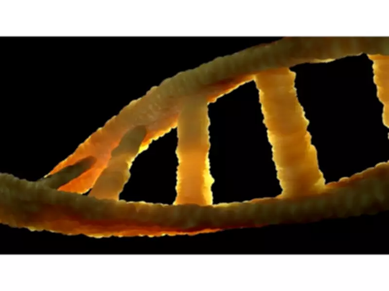 Six Infants with Spinal Cord Injuries Successfully Treated via Stem Cell Therapy