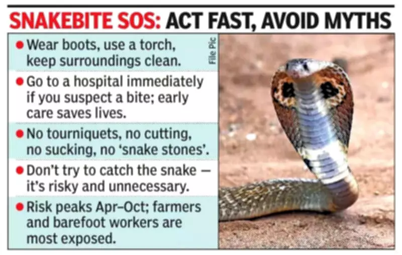 Snakebite Crisis in Coastal Karnataka: Doctors Warn Against Myths and Delays