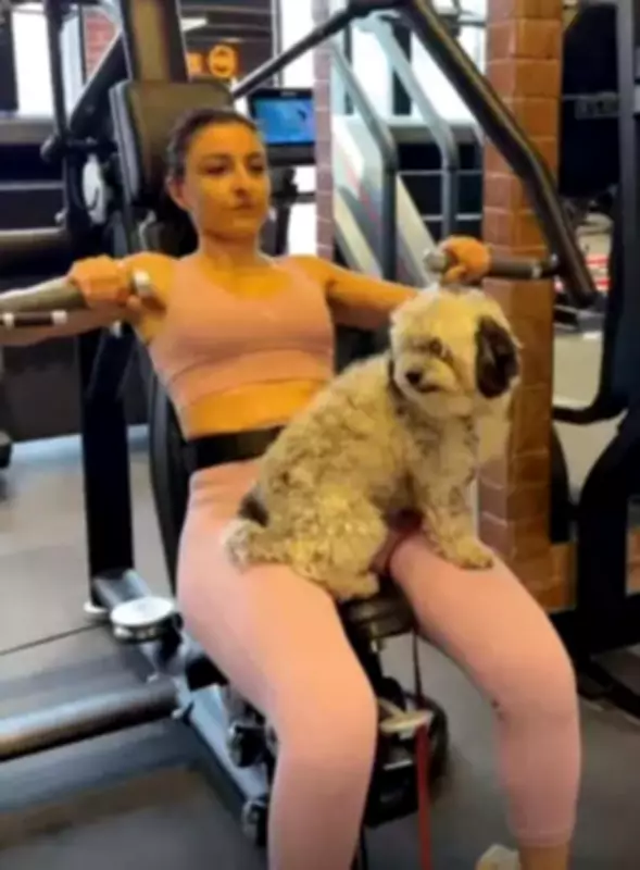 Soha Ali Khan's Gym Buddy Oreo Prefers AC Over Exercise, Actress Shares Fun Post