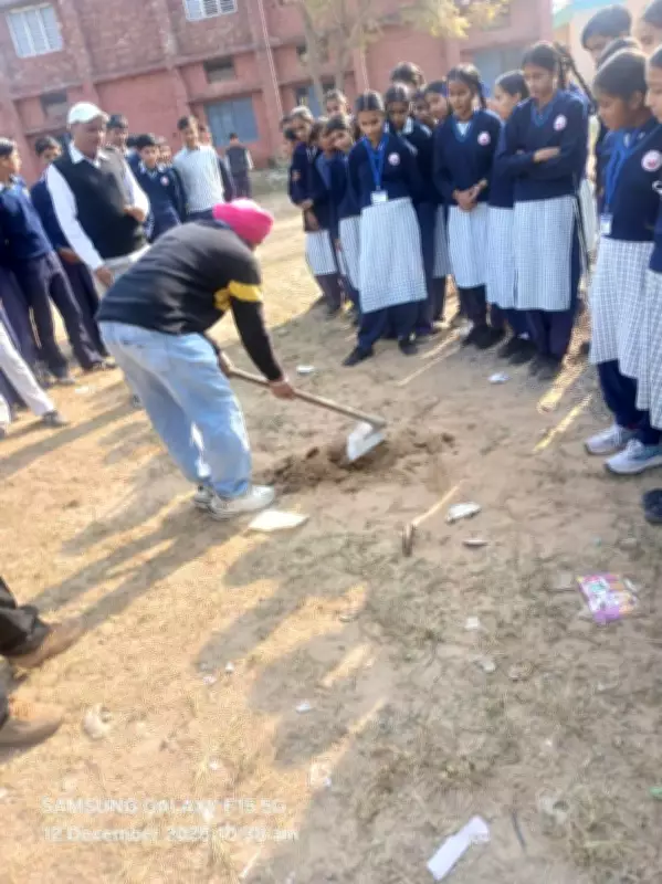 Soil Testing in Yamunanagar District Reveals Critical Fertility Deficiencies