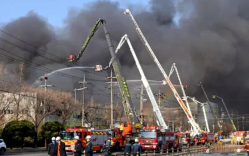 South Korea Factory Fire: 10 Dead, Dozens Injured in Daejeon Blaze; 4 Missing