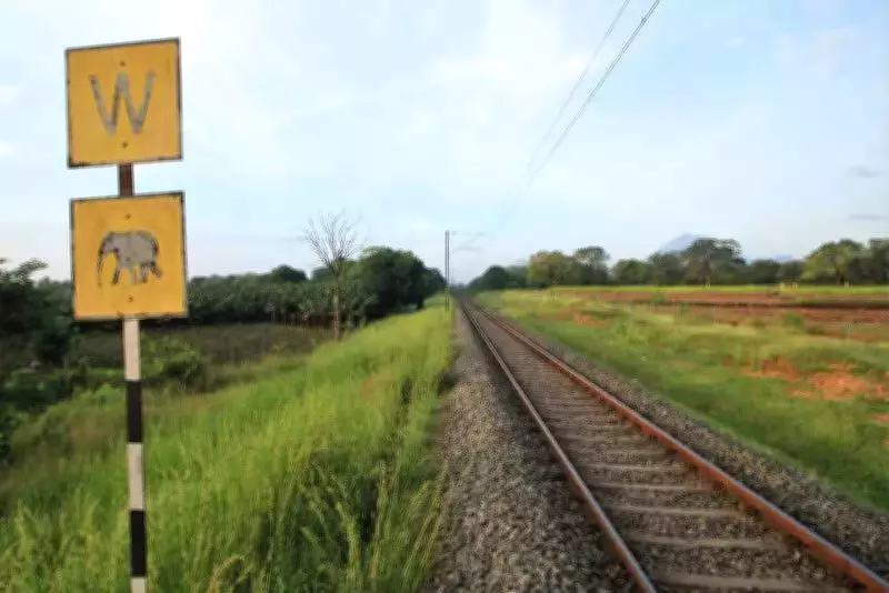 Southern Railway Alters Chennai Train Schedules Due to Track Closure in March