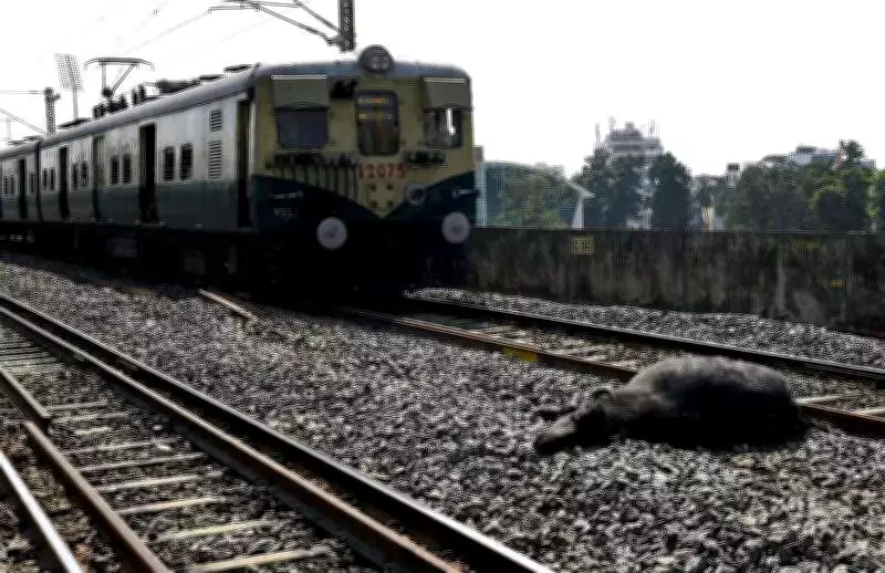 Southern Railway Conducts Pre-CRS Inspection on Chennai's Mount-Velachery Corridor