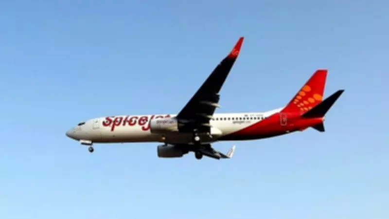 SpiceJet to Operate 14 Special Flights from UAE on Friday Amid High Demand