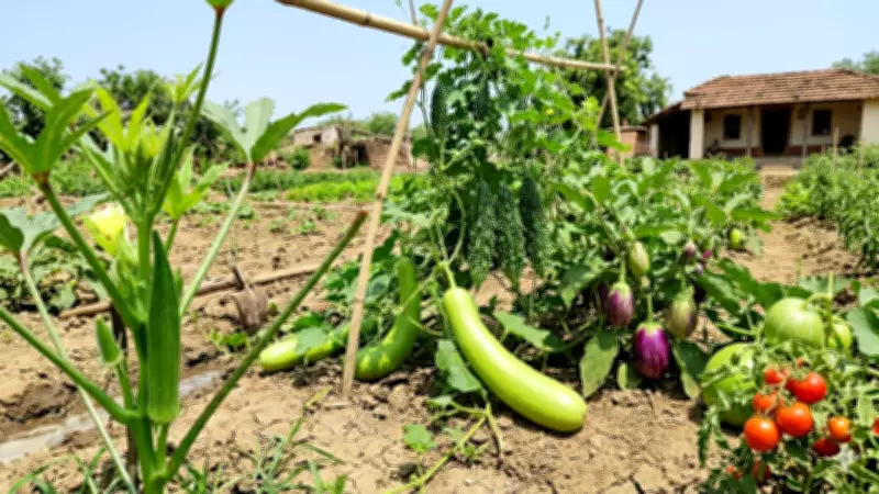 Summer Home Gardening: Grow Lauki, Kheera, Karela Easily with Seed Kits