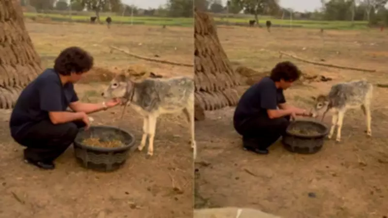 Sunil Grover's Highway Calf Feeding & Simple Life Moments Go Viral