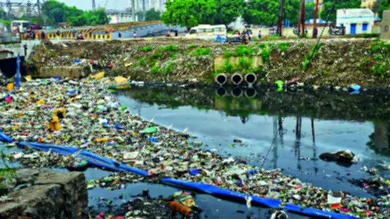 Supreme Court Appoints Amicus Curiae for Yamuna Pollution, Questions STP Delays