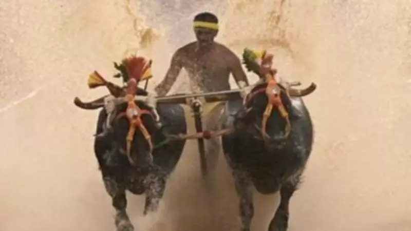 Supreme Court Dismisses PETA Plea Against Kambala at Bangalore Palace Grounds