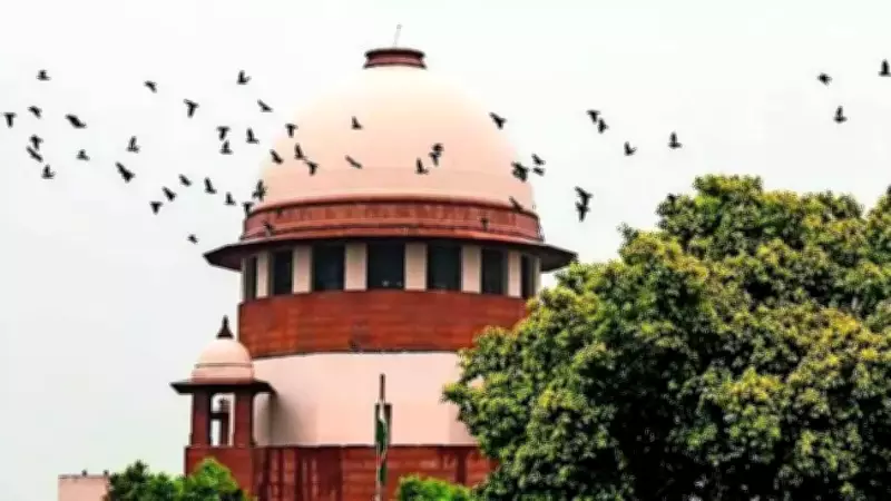 Supreme Court Ends 41-Year-Old Smuggling Case, Spares Aged Accused Further Jail