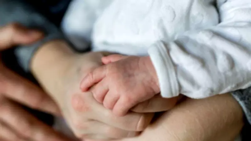 Supreme Court Mandates Paternity Leave Law, Expands Rights for Adoptive Mothers