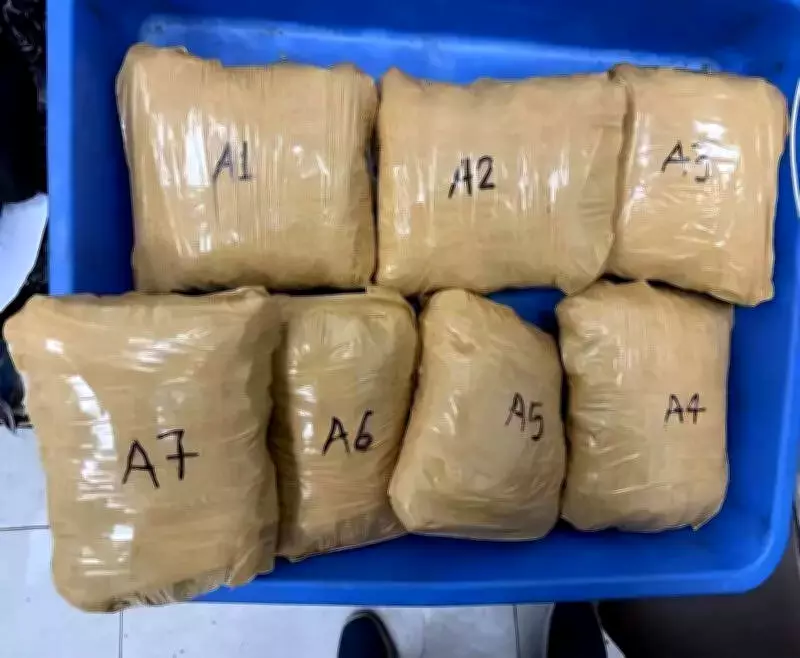 Surat Airport Bust: Customs Seizes Rs 1.97 Crore Hydroponic Cannabis from Bangkok Flight