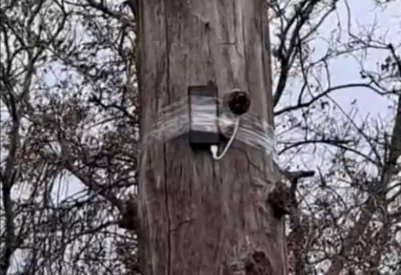 Suspicious CCTV Cameras Found at Sensitive Locations in Sonepat, Haryana