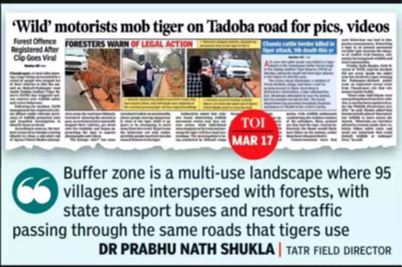 Tadoba Tiger Reserve Boosts Security After Tourist Encounter on Public Road