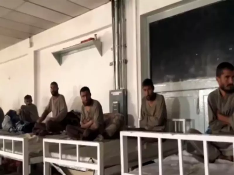 Taliban Reports Over 400 Killed in Pakistani Airstrike on Kabul Rehabilitation Centre