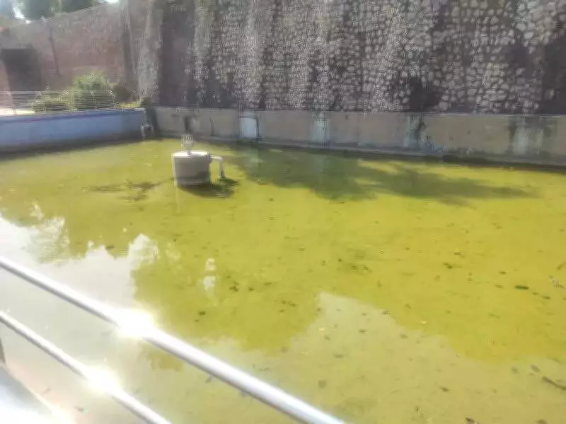 Talkatora Garden's Mughal-Era Charm Fades as Heritage Structures Fall into Disrepair