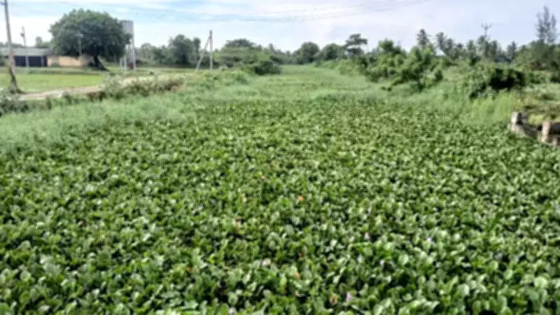 Tamil Nadu Advances Cauvery Channel Desilting Ahead of Elections with ₹110 Crore Investment