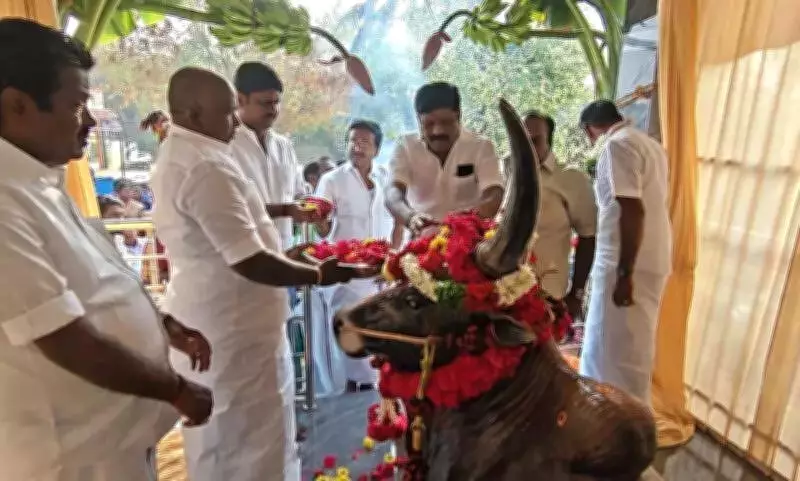 Tamil Nadu Family Honors Beloved Jallikattu Bull with Memorial Statue