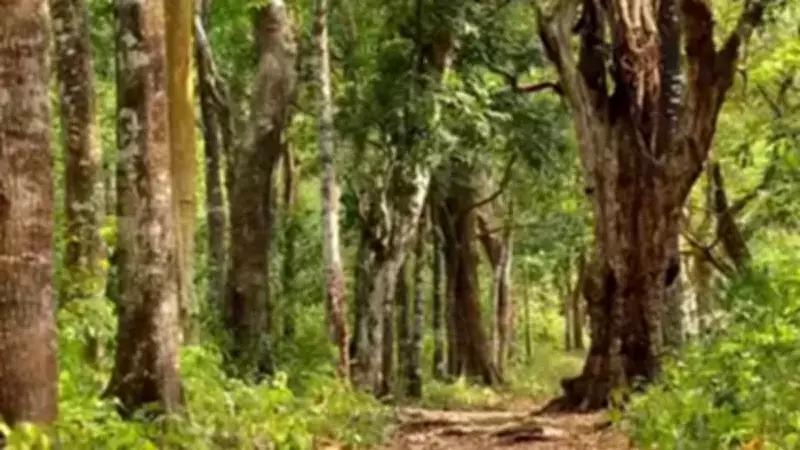 Tamil Nadu Launches Ambitious Agroforestry Policy 2026 to Boost Sustainable Farming