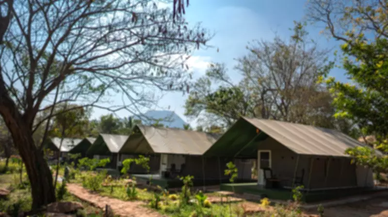 Tamil Nadu Launches Luxury Tented Camp at Anamalai Tiger Reserve Foothills