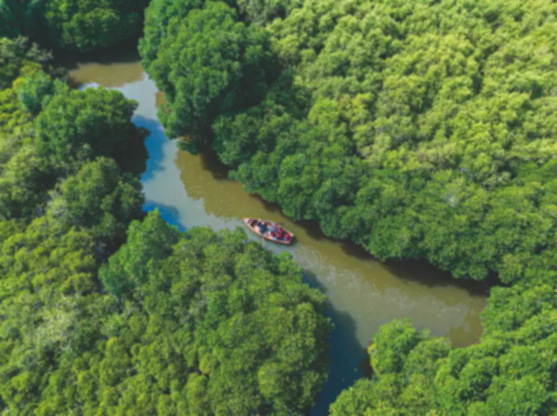 Tamil Nadu Pioneers High-Tech Blue Carbon Mapping with Drones and AI