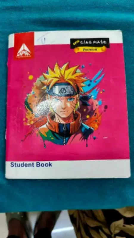 Tamil Nadu's Pregnant Women Rely on Notebooks as Digital Health Records Lag