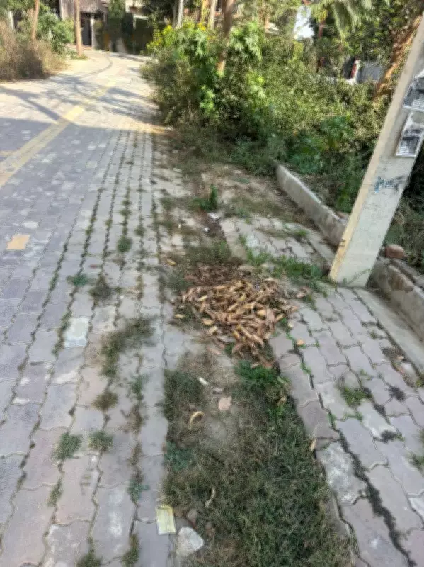 Tarn Taran Residents Voice Frustration Over Persistent Sanitation Issues