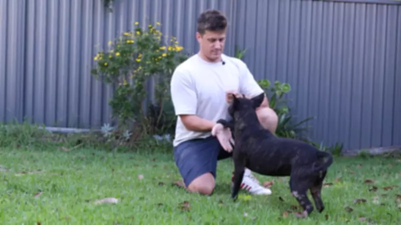 Tech CEO Uses ChatGPT to Create Personalized Cancer Vaccine for His Dog