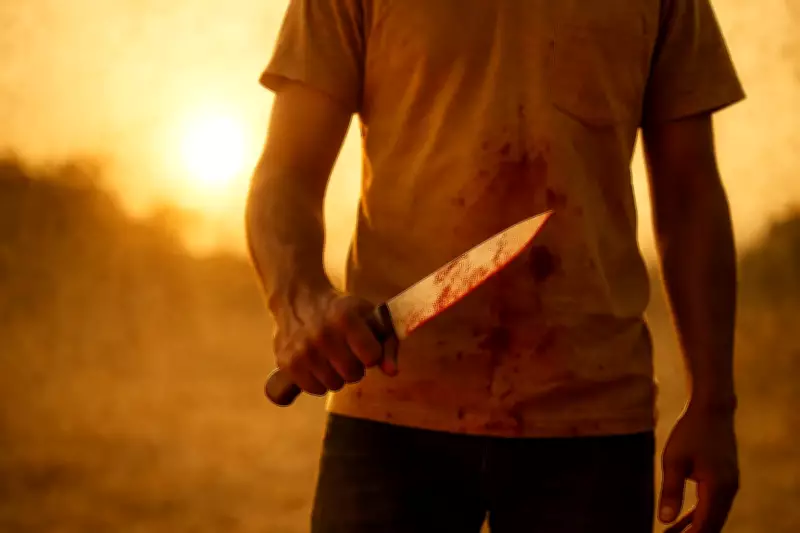 Teen Murdered, Another Injured in Wedding Brawl in Outer Delhi's Rani Bagh