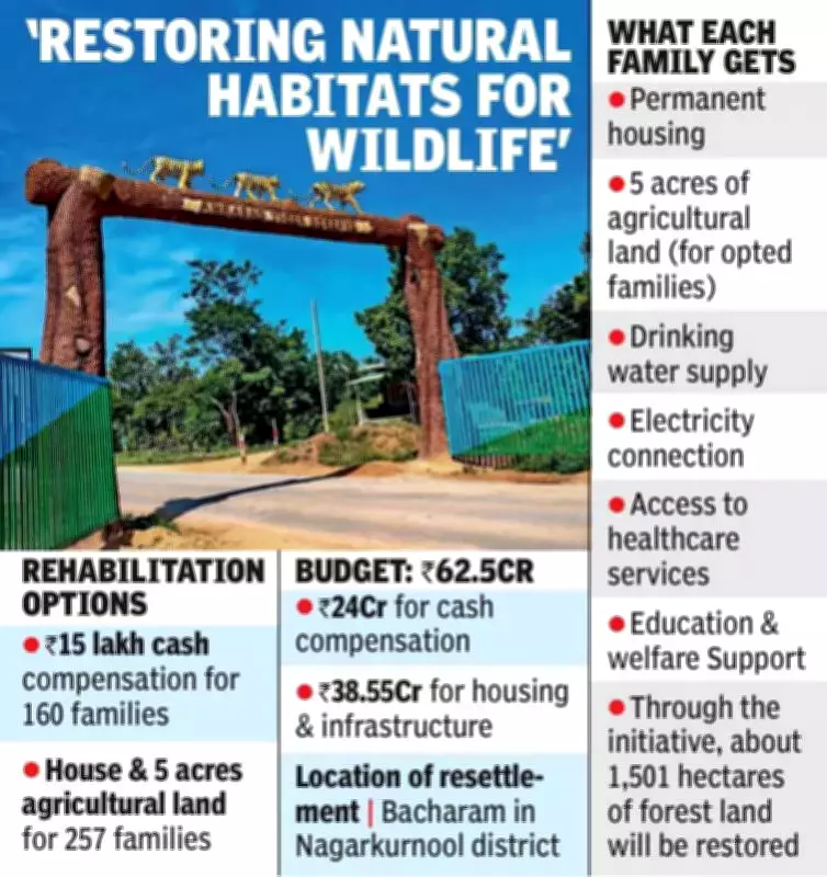 Telangana Congress Government Launches Tribal Rehabilitation in Amrabad Tiger Reserve