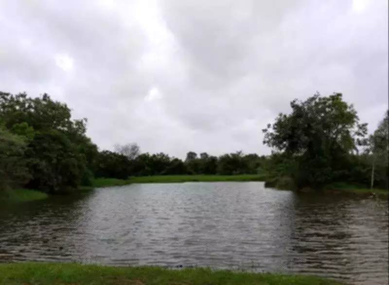 Telangana Declares Gurramguda Forest as Reserve, Ending Years-Long Legal Battle