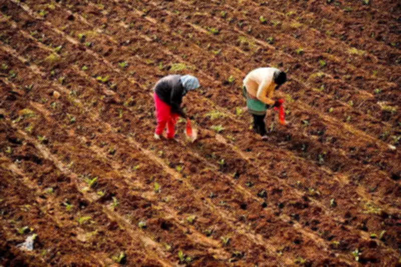Telangana University Hosts First-Ever Women Farmers' Fair on International Women's Day
