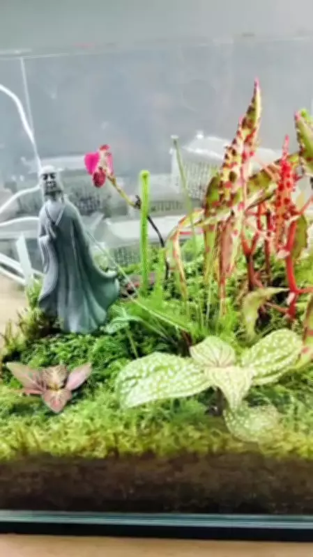 The Art of Japanese Terrariums: A Miniature World of Beauty