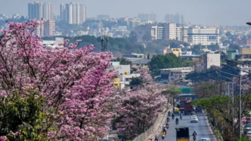 The Pink Before the Gold Shower: A Critical Analysis of India's Interim Budget