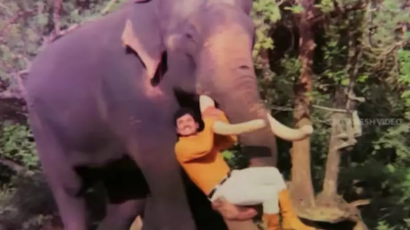 The Rajkumar Phenomenon and the Rise of Parallel Cinema in Karnataka