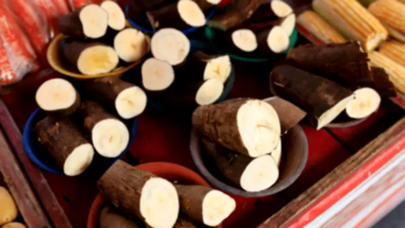 The Surprising Truth About Sabudana: From Cassava Root to Tapioca Pearls