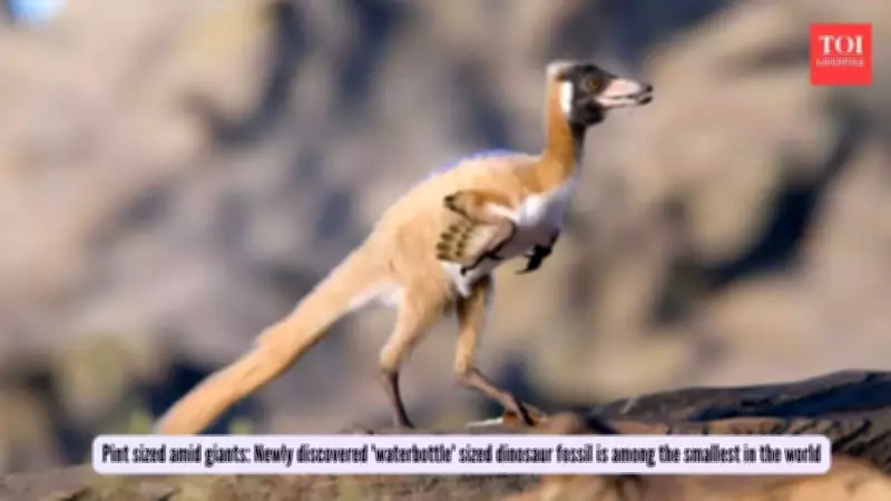 Tiny Dinosaur Discovery in Patagonia Challenges Giant Prehistoric Stereotypes