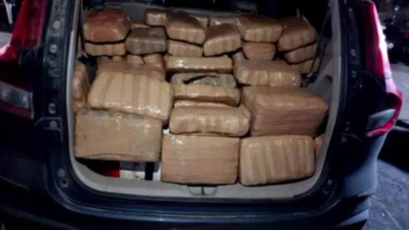 Tirunelveli Police Seize 4.25kg of Ganja, Arrest Three in Drug Bust